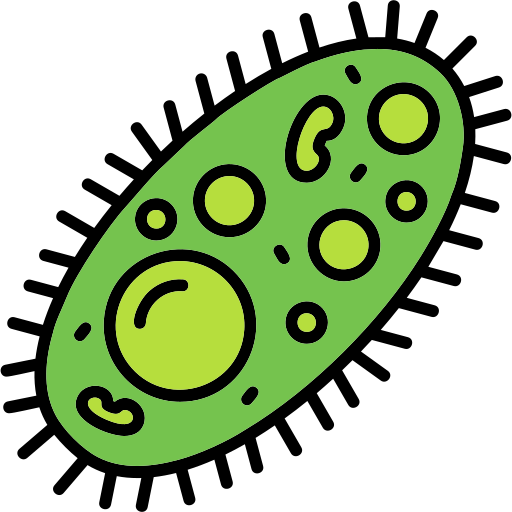 Bacteria icon 2